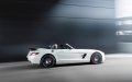 2014_slsamg_finaledition_8_roadster