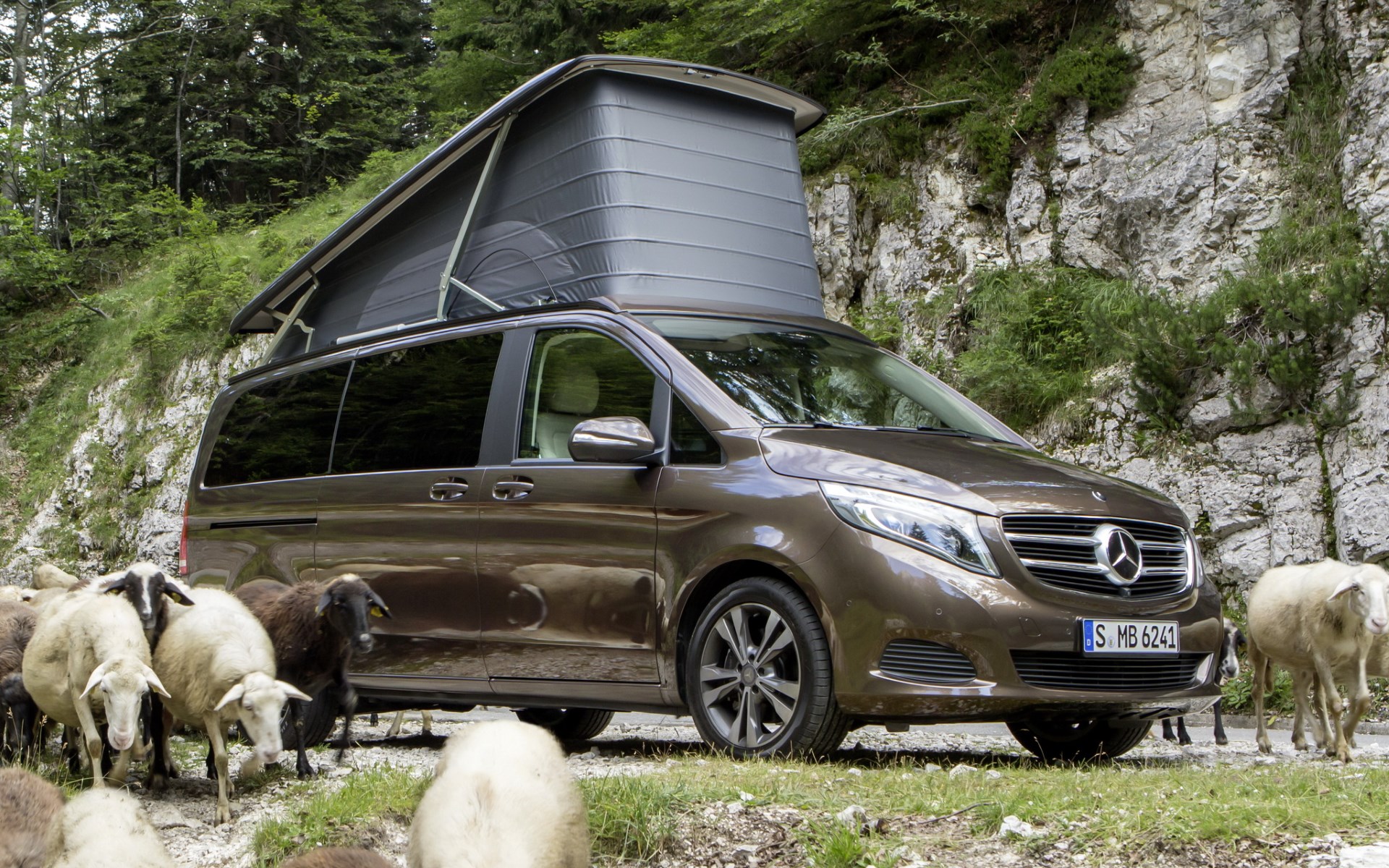 2015_w447_marco-polo-250-bt_1